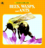 Bees, Wasps and Ants (a Golden Junior Guide)