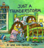 Just a Thunderstorm (a Golden Little Look-Look Book)