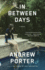 In Between Days (Vintage Contemporaries)