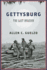 Gettysburg: the Last Invasion
