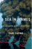 A Sea in Flames: the Deepwater Horizon Oil Blowout