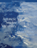 Antarctic Sea Ice Variability in the Southern Ocean-Climate System: Proceedings of a Workshop