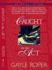 Caught in the Act (Amhearst Mystery Series #2)