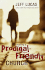 Creating a Prodigal-Friendly Church