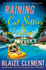Raining Cat Sitters and Dogs: a Dixie Hemingway Mystery (Dixie Hemingway Mysteries)
