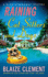 Raining Cat Sitters and Dogs: a Dixie Hemingway Mystery (Dixie Hemingway Mysteries)