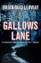 Gallows Lane: an Inspector Devlin Mystery