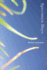 Specimen Days: a Novel