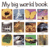My Big World Book (My Big Board Books)
