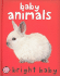 Baby Animals (Bright Baby Touch and Feel): a First Sensory Tactile Book