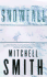 Snowfall