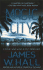 Magic City: a Novel