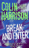 Break and Enter: a Novel