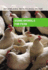 Exploring Animal Rights and Animal Welfare [4 Volumes] (Middle School Reference)