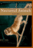 Nocturnal Animals