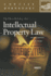 Principles of Intellectual Property Law (Concise Hornbook Series)