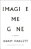 Imagine Me Gone