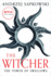 The Tower of Swallows (the Witcher, 6)