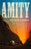Amity: a Novel