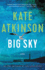 Big Sky (Jackson Brodie): a Novel (Jackson Brodie) (Jackson Brodie, 5)