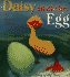 Daisy and the Egg
