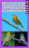 Stokes Field Guide to Warblers