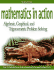 Mathematics in Action: Algebraic, Graphical, and Trigonometric Problem Solving