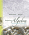 Beginning Algebra With Applications & Visualization