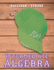 Intermediate Algebra (3rd Edition)