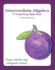Intermediate Algebra: a Graphing Approach