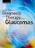 Becker-Shaffer's Diagnosis and Therapy of the Glaucomas
