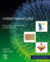 Hybrid Nanofluids: Preparation, Characterization and Applications 1ed