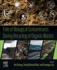 Fate of Biological Contaminants During Recycling of Organic Wastes: 1ed