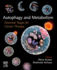 Autophagy and Metabolism: Potential Target for Cancer Therapy 1ed