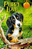 A Winter's Tale (Puppy Patrol 15): No. 15