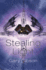 Stealing Light