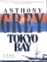 Tokyo Bay