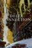 Delta Connection