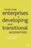 Small-Scale Enterprises in Developing and Transitional Economies