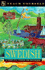 Swedish: a Grammar of the Modern Language (Teach Yourself Books)