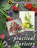 Practical Floristry: the Interflora Training Manual