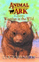Wombat in the Wild (Animal Ark, No. 17)