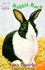 Rabbit Race (Animal Ark Pets 3)