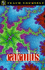 Calculus (Teach Yourself Educational)