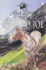 Navaho Joe (Horses of Half Moon Ranch)