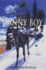 Danny Boy (Horses of Half Moon Ranch)