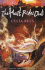 The Host Rides Out (Celia Rees Supernatural Trilogy)