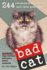 Bad Cat