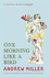 One Morning Like a Bird