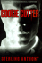 Cookie Cutter